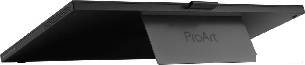 Портативный монитор ASUS ProArt PA169CDV