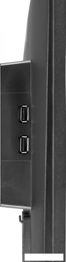 Игровой монитор Iiyama Red Eagle G-Master G2470HSU-B1 Игровой монитор Iiyama Red Eagle G-Master G2470HSU-B1