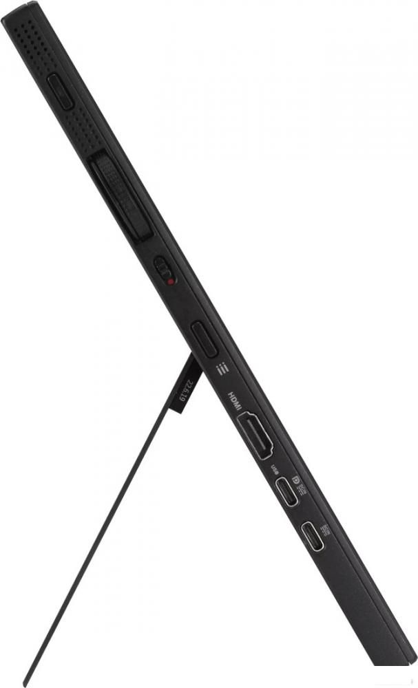 Портативный монитор ASUS ProArt PA169CDV