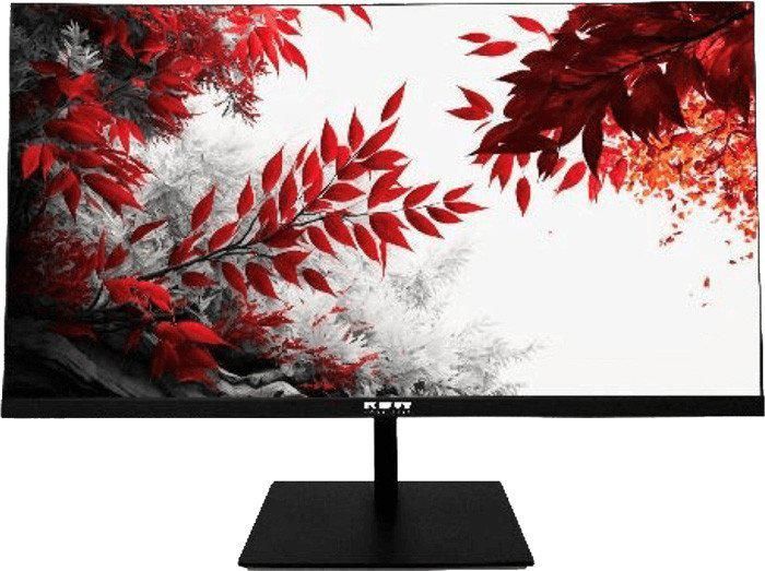 Монитор RDW Computers RDW2702K/Q19В3100V2A1